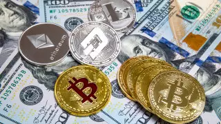 Оборот и добычу криптовалют могут запретить в Индии