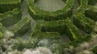 Девушка нашла странный лабиринт в лесу во время прогулки