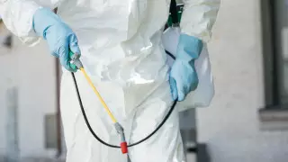 В кафе в ВКО травили тараканов, а отравили жителей дома