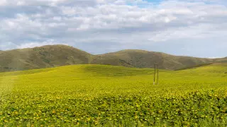 Запретить продажу земли планируют иностранцам и кандасам