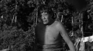 Последний представитель амазонского племени джума умер от СOVID-19