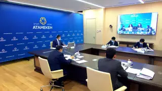 Предприниматели рассказали о своих проблемах Тимуру Кулибаеву