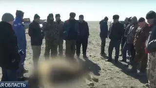 Скотокрады отстреливали домашних животных в ЗКО