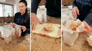 Пролежавшую 17 лет еду из McDonald’s показали на видео