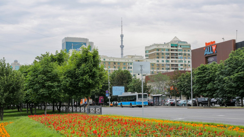 Алматы нужны не новостройки в центре города, а парки - К.Токаев