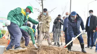 В Казахстане стартовал экологический проект "Таза табиғат"