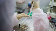 Количество проводимых ПЦР-тестирований увеличат в Алматы