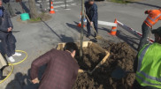 Символ Наурыза появился в центре Парижа
