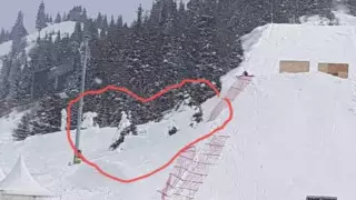 Обвинения в вырубке склона елок на Шымбулаке опровергли в акимате