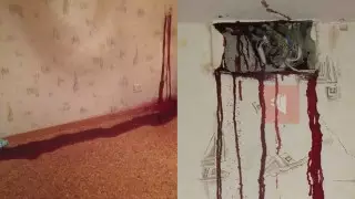 Льющаяся из розетки "кровь" напугала жительницу многоэтажки