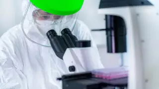 Новый штамм коронавируса выявили в Чехии