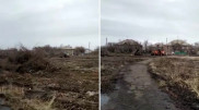 Вырубка деревьев в парке попала на видео в Сатпаеве