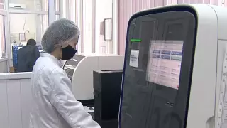 О появлении "алматинского" штамма коронавируса заявили ученые