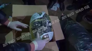 Наркотики на 100 миллионов тенге прятал житель ВКО