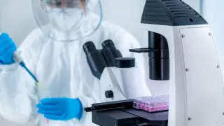 Цой назвал регионы, в которых нашли новые штаммы коронавируса