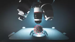 Ученый высказался о существовании "алматинского" штамма коронавируса