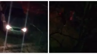 Найдена девушка, похищенная на глазах у очевидцев в Шымкенте