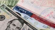 США возобновят выдачу виз специалистам из других стран - СМИ