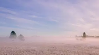 Гололед и пыльные бури ожидаются в Казахстане