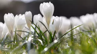 Какой будет погода в апреле в Казахстане