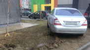 Фото с переехавшим саженцы авто обсуждает Казнет