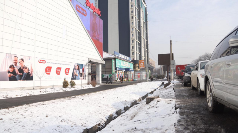 Свидетели рассказали новые подробности о вырубке деревьев возле Sulpak в Алматы