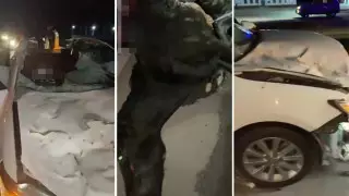 3 человека погибли в ДТП из-за выбежавшей лошади в Туркестанской области