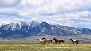 Иллюстративное фото©Shutterstock