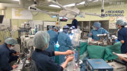 Пациенту с COVID-19 впервые пересадили легкие от живого донора