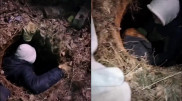 Спасение упавшего в колодец щенка сняли на видео в Аксу