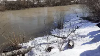 Найдено тело пропавшего в ВКО мальчика