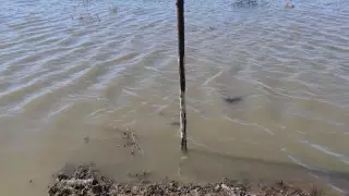 Талые воды изолировали село в Павлодарской области