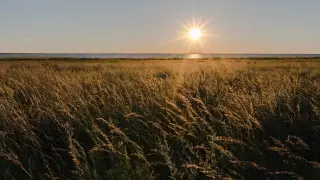 14 апреля в большинстве областей Казахстана без осадков