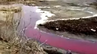 "Кровавые" ручьи сняли на видео в Семее