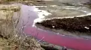 "Кровавые" ручьи сняли на видео в Семее