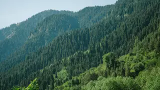 В горах Алматы улучшат сотовую связь - Сагинтаев