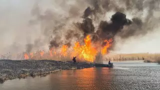 "Берег лысый до самого Балхаша": пожар уничтожил коттеджи и транспорт в Алматинской области