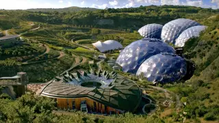 Дендрарий хотят построить на холмах выше Аль-Фараби в Алматы