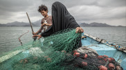 "Прокормить 9 детей". 22 эмоциональных снимка с World Press Photo Contest