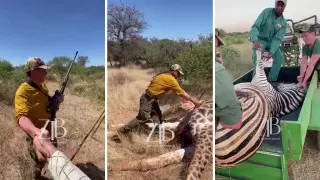 "Казахи вышли на охоту в Африке" - шокирующие кадры появились в Сети
