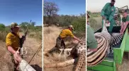 "Казахи вышли на охоту в Африке" - шокирующие кадры появились в Сети
