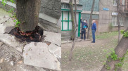 За облитое керосином дерево наказали бизнесмена в Алматы