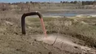 Возникновение "кровавых" ручьев объяснили в Семее