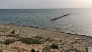 "Вода резко ушла": необычное "поведение" Каспия удивило актауцев