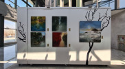 Уникальные картины из 15 стран представили в Forte Kulanshi ArtSpace