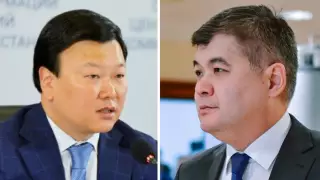 Цой ответил, примет ли Биртанова на работу в Минздрав