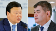 Цой ответил, примет ли Биртанова на работу в Минздрав