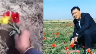 Қызғалдақ үшін 9 миллион теңге айыппұл Желіде әзілге айналды