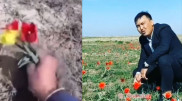 Қызғалдақ үшін 9 миллион теңге айыппұл Желіде әзілге айналды