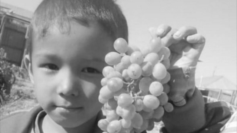 Пропавшего 6-летнего мальчика нашли мертвым в Кызылорде